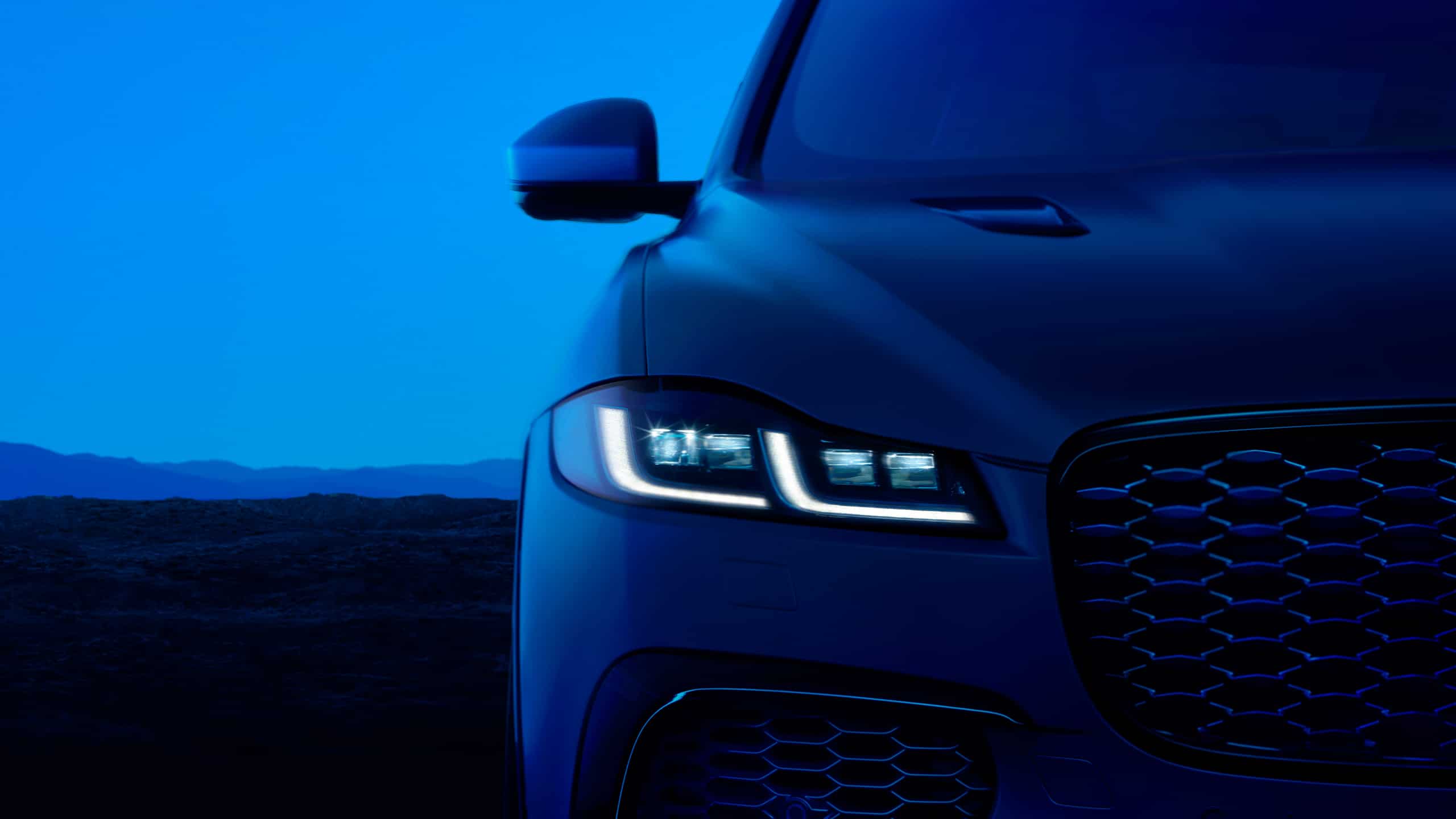 JAGUAR ジャガー F-pace Fペース リア バンパー プロテクター